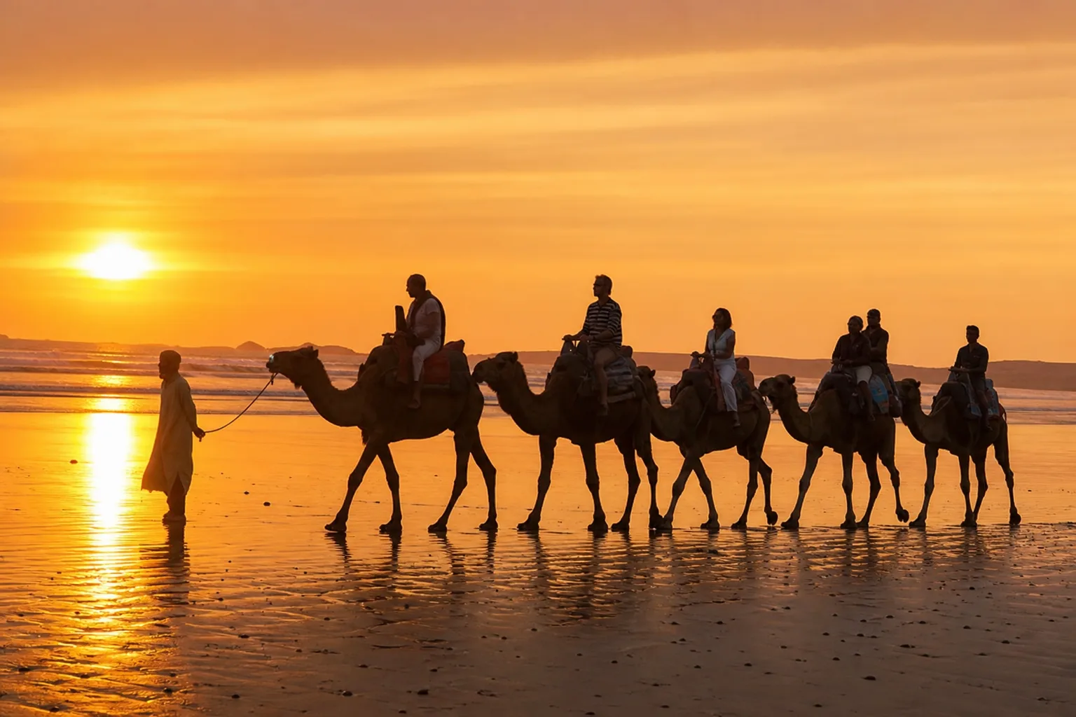 Balade à dos de chameau au coucher du soleil à Essaouira